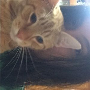 Meet your Posher, Holly